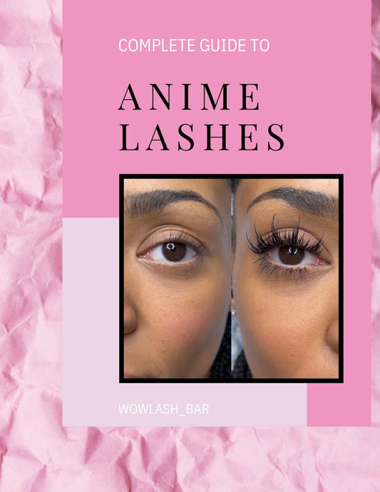 Anime Lash Mastery — Mini Course